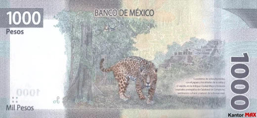  - Rewers