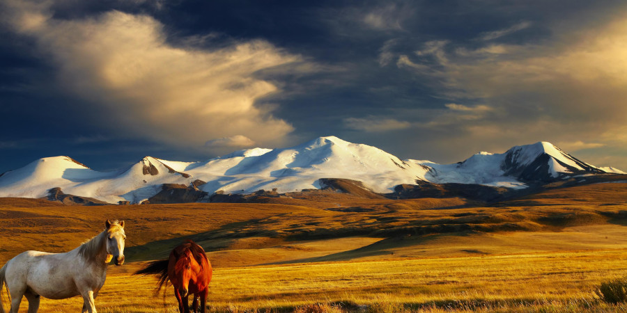 Mongolia